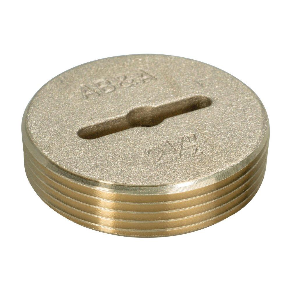 AB & A&trade; 2-1/2 in. Cleanout 