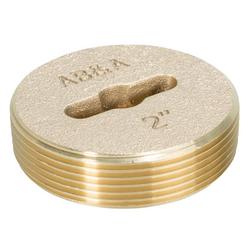 2 in. Tapped Countersunk Plug