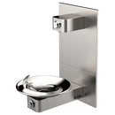 Haws&reg; Satin Stainless Steel Barrier Free Wall Mount Fountain with Bowl 