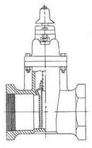 Clow Valve Threaded Ductile Iron Open Left Resilient Wedge Gate Valve 