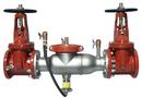4 in. 300 Stainless Steel Flanged 175 psi Backflow Preventer