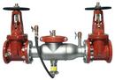 Watts Stainless Steel 300 Stainless Steel Flanged 175 psi Backflow Preventer 