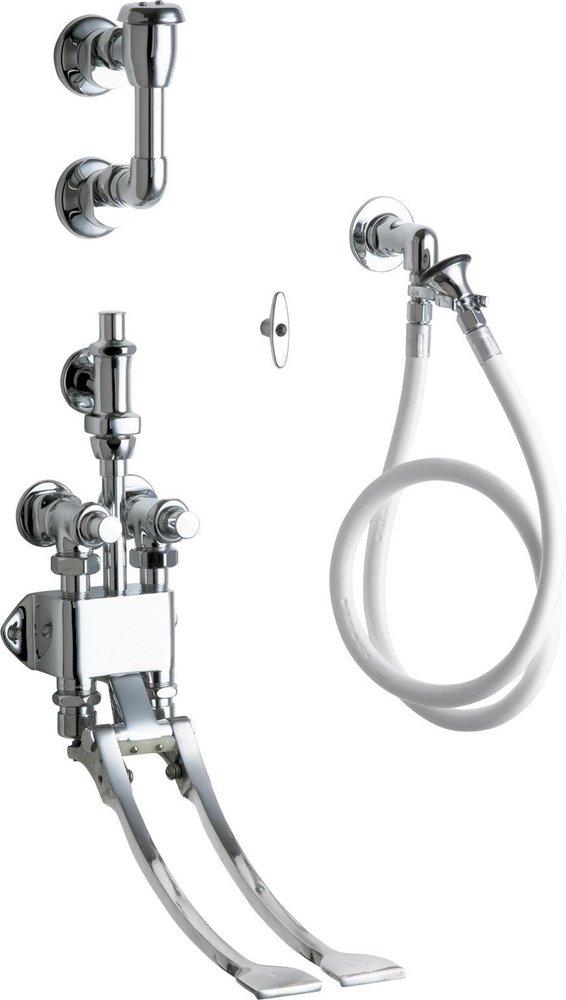 Chicago Faucets Polished Chrome Two Metering Handle Wall Mount Service Faucet 