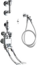 Chicago Faucets Polished Chrome Two Metering Handle Wall Mount Service Faucet 