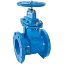 3 in. Flanged Cast Iron Straight Resilient Wedge Gate Valve