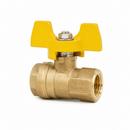 1/4" NPT Female to Female Chrome Plated Brass Ball Gauge Isolation Cock Valve - BTC 14 