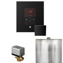 BASIC BUTLER STEAM SHOWER CONTROL PACKAGE WITH SQUARE ITEMPO CONTROL AND LINEAR STEAMHEAD IN MATTE BLACK
