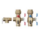 1 in. SWT Tankless Water Heater Valve Service Kit 