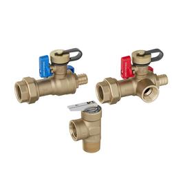 3/4 in. F1807 Tankless Water Heater Valve Service Kit with Pressure Relief Valve