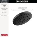 Single Function Showerhead in Matte Black 