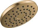 DELTA UNIVERSAL SHOWERING COMPONENTS: PIVOTPRO RAINCAN SHOWER HEAD 