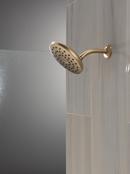 DELTA UNIVERSAL SHOWERING COMPONENTS: PIVOTPRO RAINCAN SHOWER HEAD 
