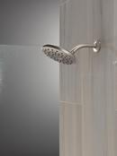 Single Function Showerhead in Lumicoat Stainless 