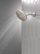 Single Function Showerhead in Lumicoat Stainless 