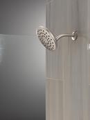 Single Function Showerhead in Lumicoat Stainless 