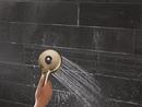 Multi Function Showerhead in Lumicoat Champagne Bronze 