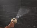 Multi Function Showerhead in Lumicoat Champagne Bronze 
