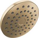 DELTA UNIVERSAL SHOWERING COMPONENTS: PIVOTPRO RAINCAN SHOWER HEAD 