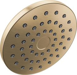 Single Function Showerhead in Champagne Bronze