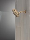 Single Function Showerhead in Champagne Bronze 