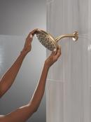 Single Function Showerhead in Champagne Bronze 