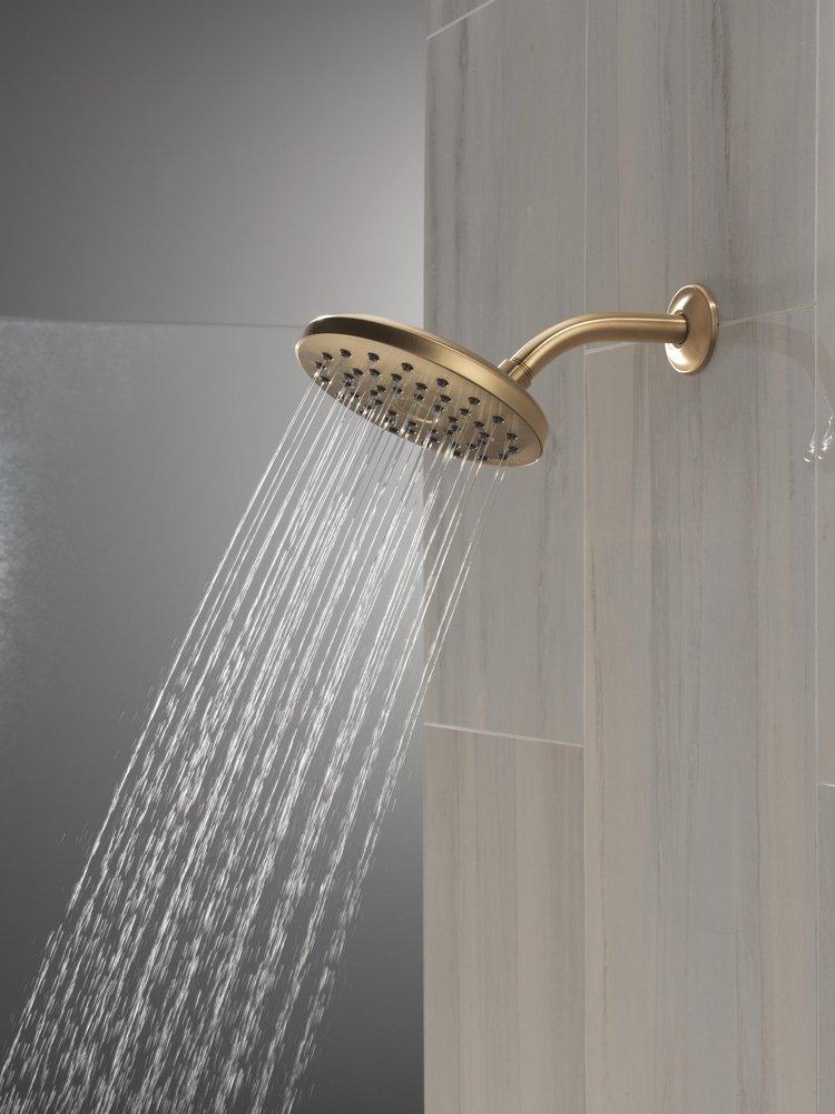 Single Function Showerhead in Champagne Bronze 