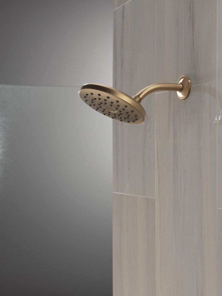 Single Function Showerhead in Champagne Bronze 