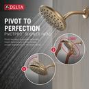 Single Function Showerhead in Champagne Bronze 