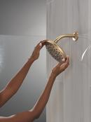 Single Function Showerhead in Champagne Bronze 