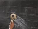Multi Function Showerhead in Champagne Bronze 