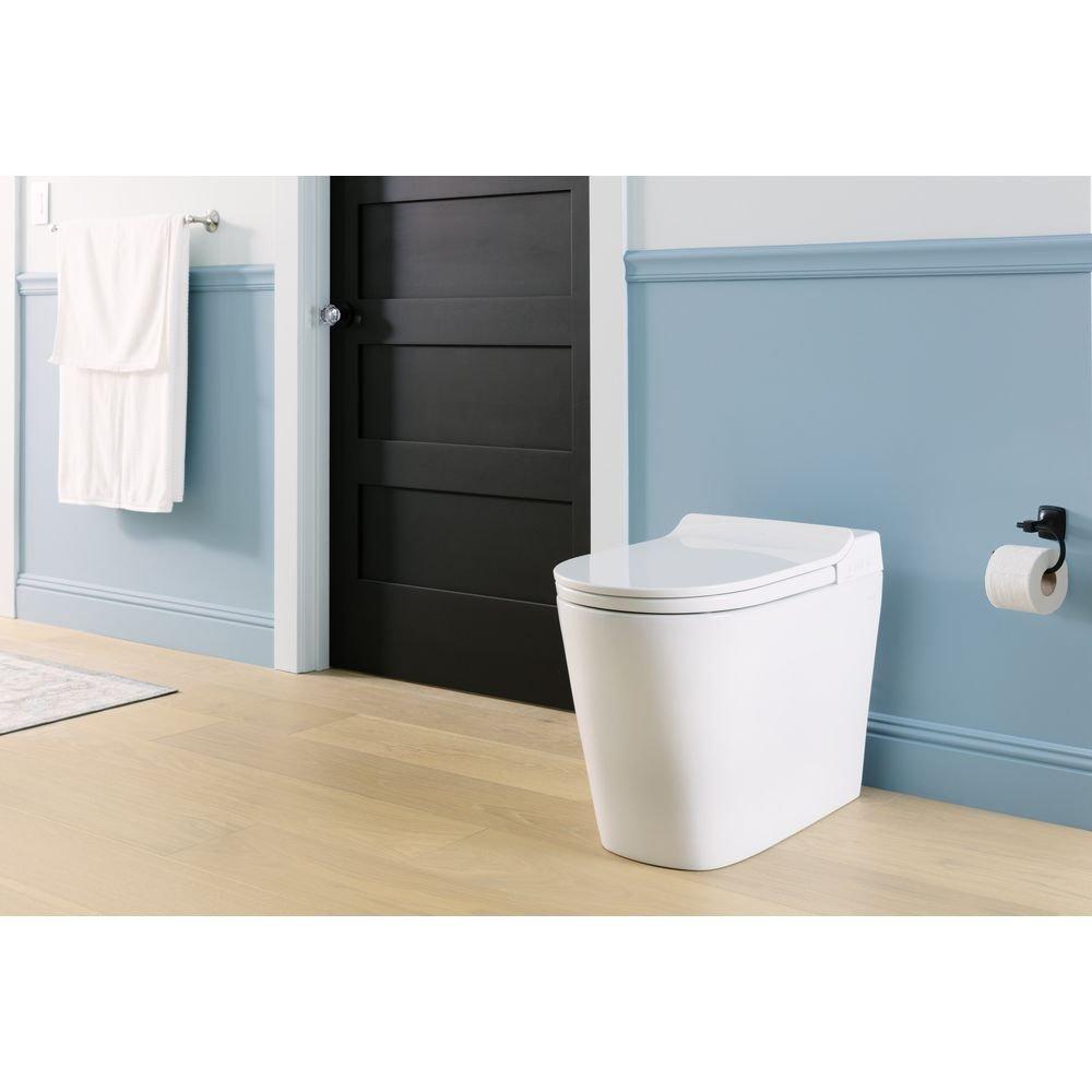1.0/1.28 gpf Dual Flush Elongated One Piece Smart Toilet 