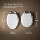 Elongated Bidet Toilet Seat 