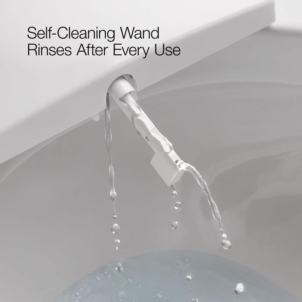 Elongated Bidet Toilet Seat 