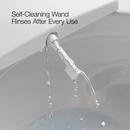 Elongated Bidet Toilet Seat 