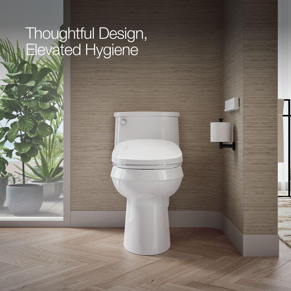 Elongated Bidet Toilet Seat 