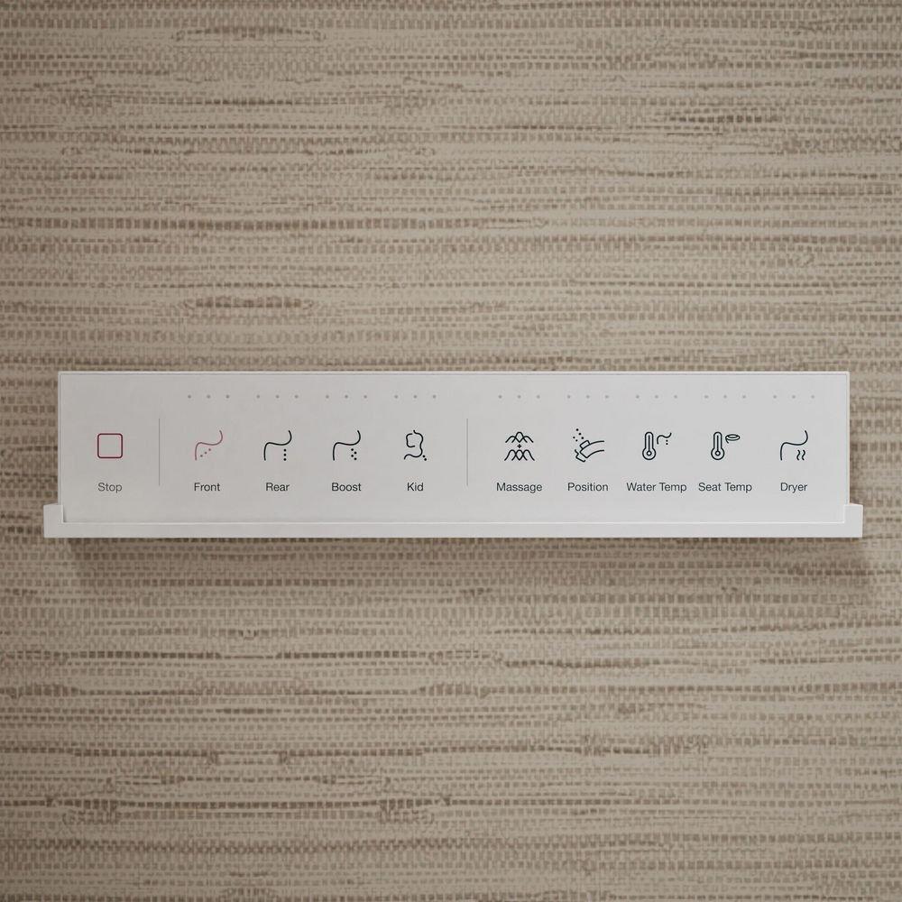 Elongated Bidet Toilet Seat 