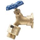 Watts Brass FNPT x Hose Vacuum Breaker 