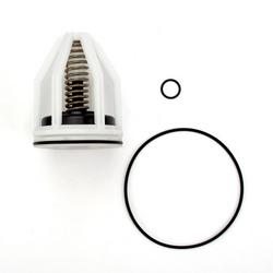 2 in. Check Valve Repair Kit