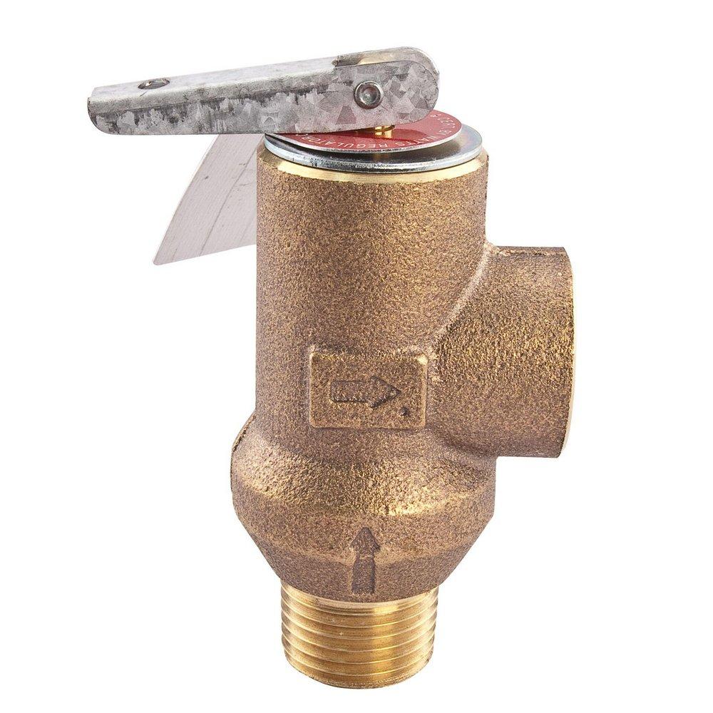 Watts Bronze MNPT x FNPT 100# 210 Relief Valve 