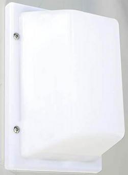 75W 1-Light Incandescent Ceiling Mount White Outdoor Ceiling Fixture