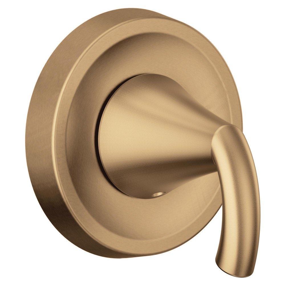 BRONZED GOLD BZG M-CORE TRANSFER VERTICAL SPA 