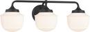 3 Light 23 in. Wide Bathroom Vanity Light in Dark Matte Black 