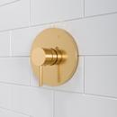 PROFLO&reg; Brushed Gold Single Handle Shower Faucet Trim Only 