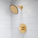 PROFLO&reg; Brushed Gold Single Handle Shower Faucet Trim Kit 