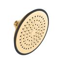 PROFLO&reg; Brushed Gold Single Function Showerhead 