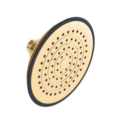 Single Function Showerhead in Brushed Gold