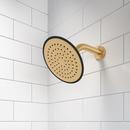 PROFLO&reg; Brushed Gold Single Function Showerhead 