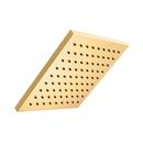 PROFLO&reg; Brushed Gold Single Function Showerhead 
