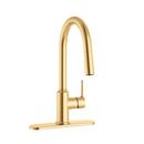 PROFLO&reg; Brushed Gold Single Handle Pull Down Kitchen Faucet 