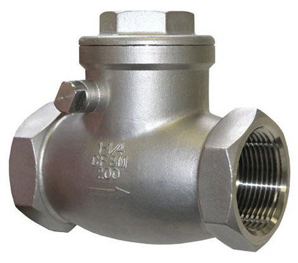 FNW&reg; Stainless Steel NPT Check Valve 